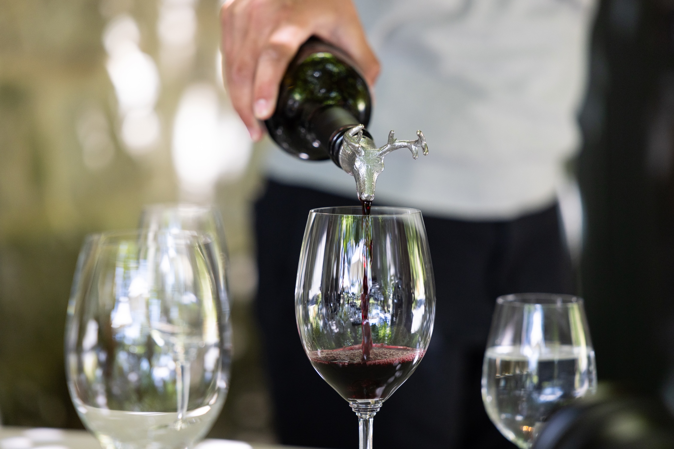 Napa wine tasting.jpg